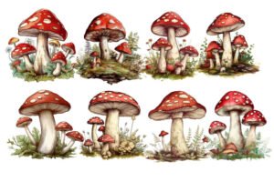 cottagecore mushroom